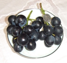 ブドウ販売・ブラックビートをどうぞ。