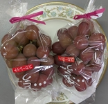 _ƎỸXJ[bgǂB